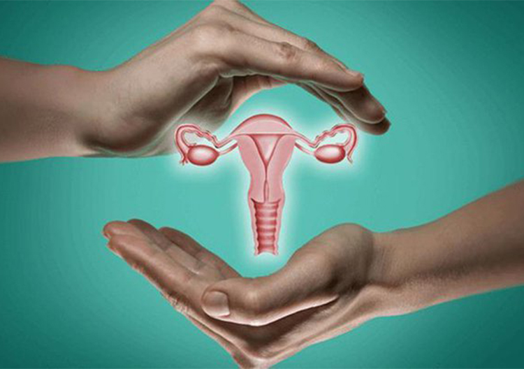 Dr. Harshrika Holkar is renowned as best Gynecologist for Hysteroscopy in Thane, Mumbai, offering expert care and advanced Hysteroscopy procedures.